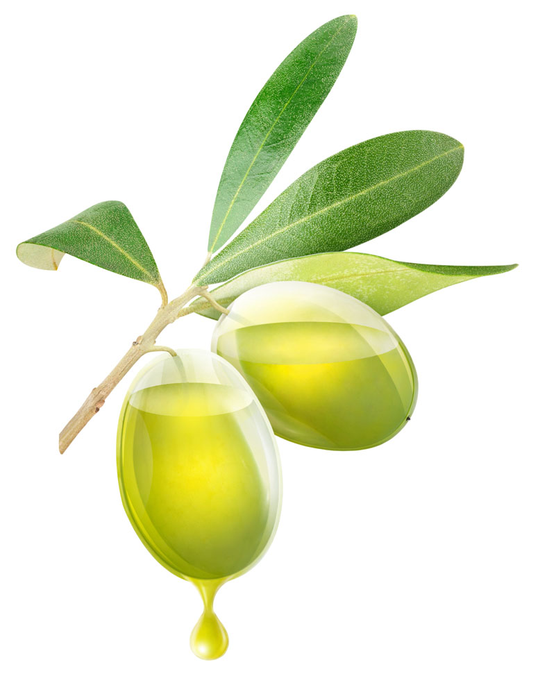 浙江食用橄榄油