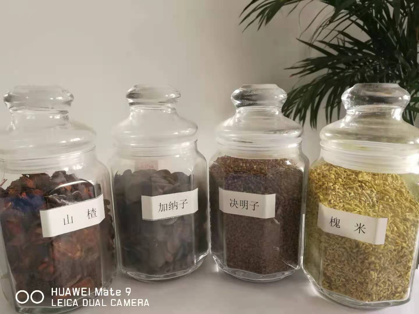 浙江冷榨油茶籽油