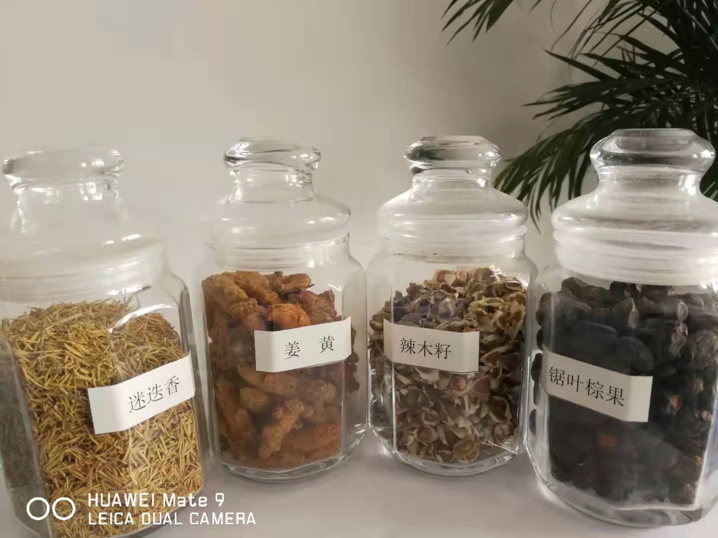 浙江山茶籽油散油