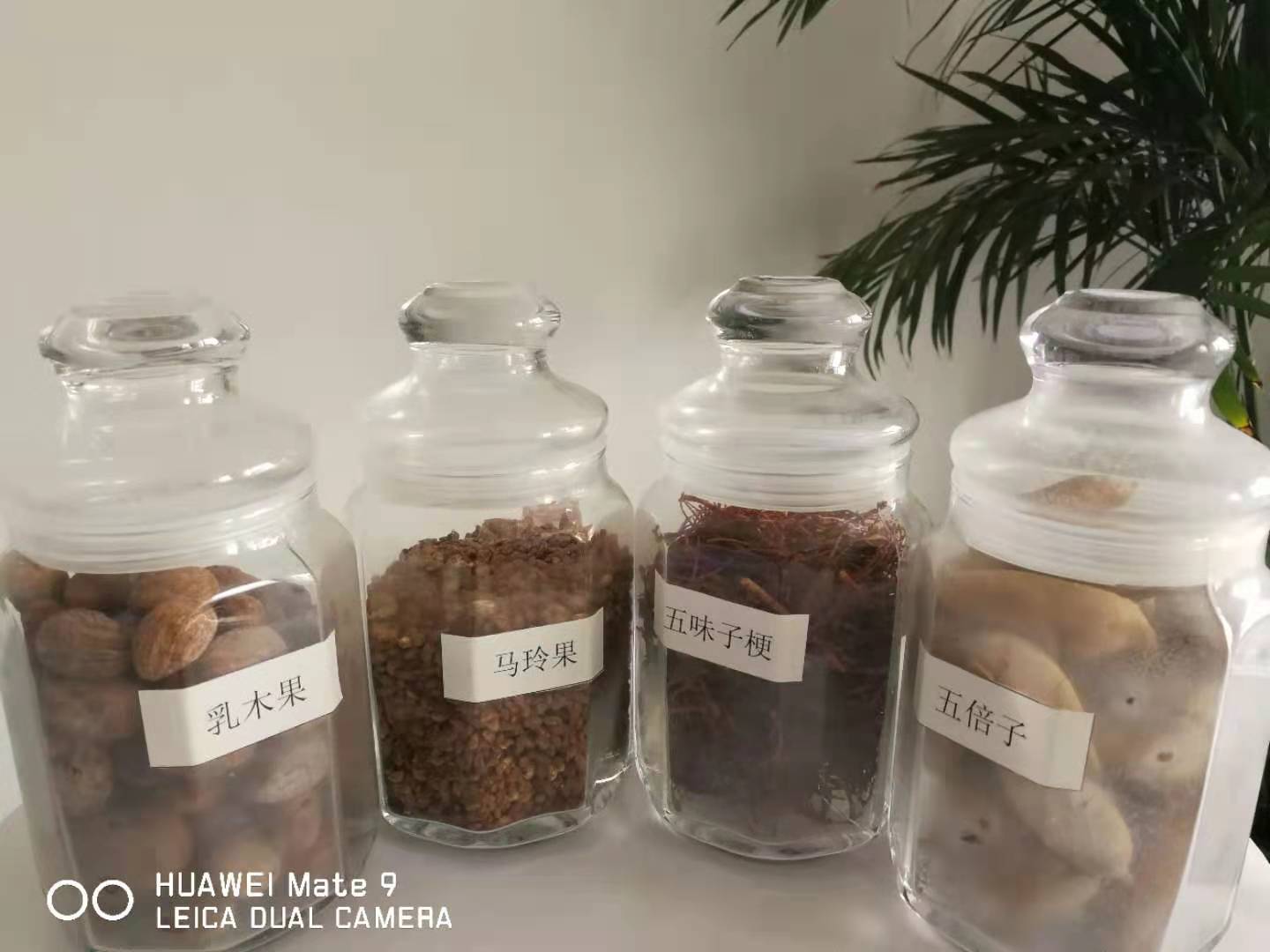 浙江有机油茶籽油原油